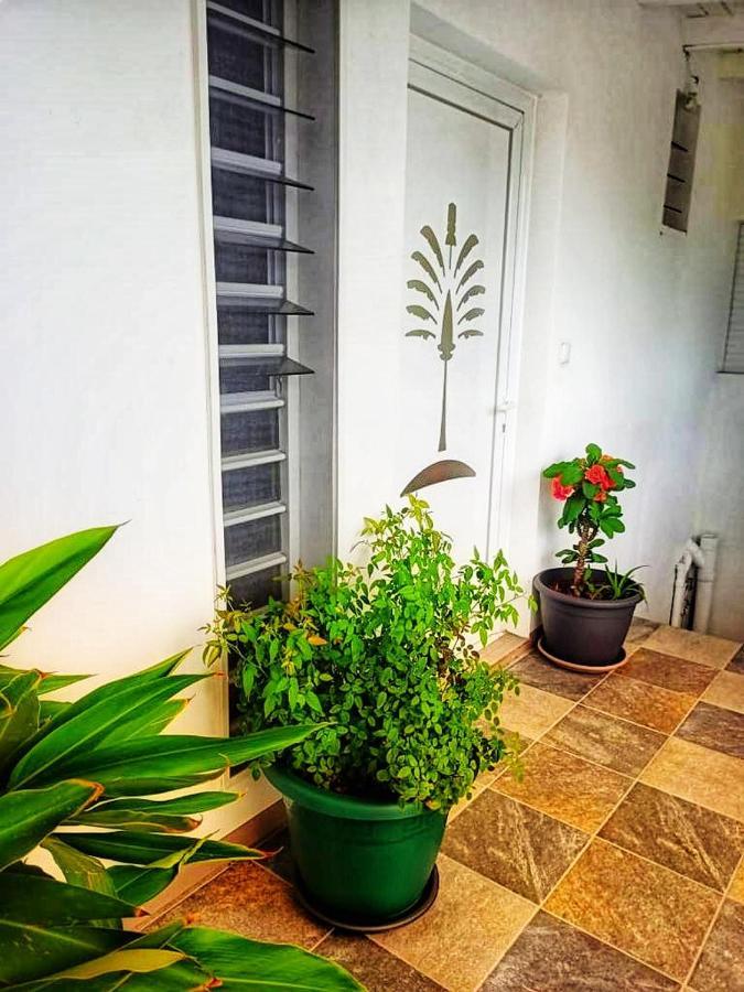 Le Balisier Apartment Сен Франсоа Екстериор снимка